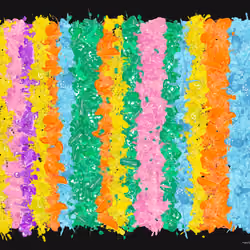 Rug #135