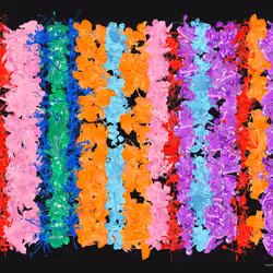 Rug #377