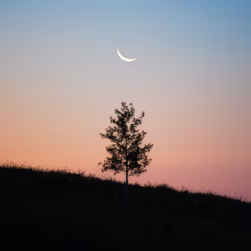 James Andrew Editions V2