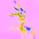 Electric Blossom