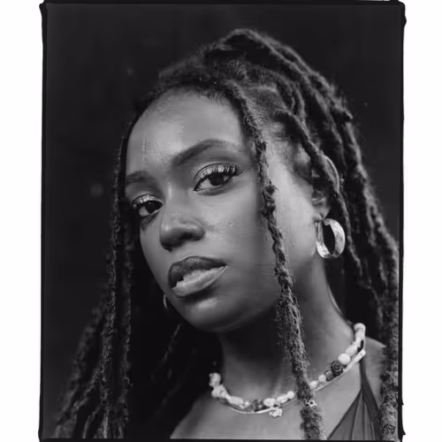 The Lay Out Co. Series