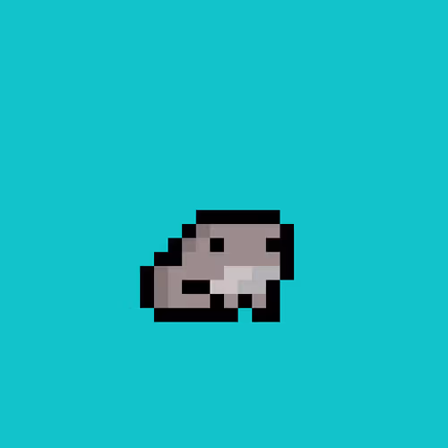 Tinyfrogslol