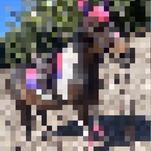 Pixel Pony Hornstars