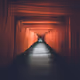 Harmony - pR1pCFgH1r
