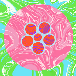 33