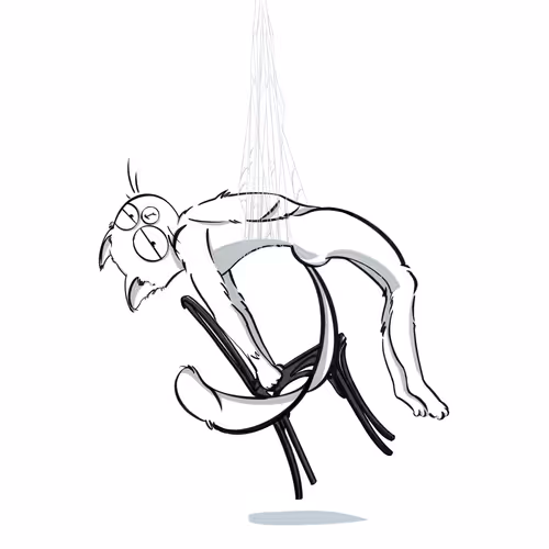 SpideyCatch