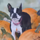 1000024