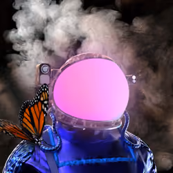 593