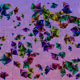Abstraquarium