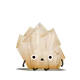 10562