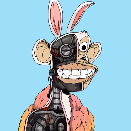 Item #702 Media