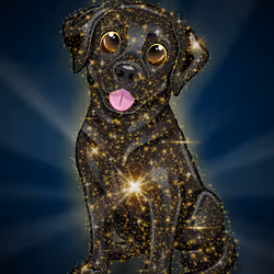 SparklesDog #529