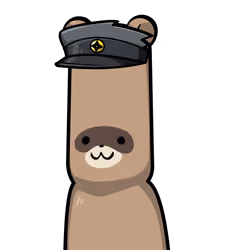 Raccoon-Origin #00351