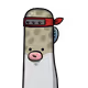 6702