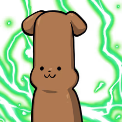 Toy poodle-Origin #03574