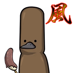 Platypus-Origin #06900
