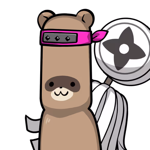 Raccoon-Origin #02895