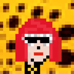 PALADIN PUNKS #453 1/1 KUSAMA