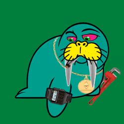 Wallet Walrus #5
