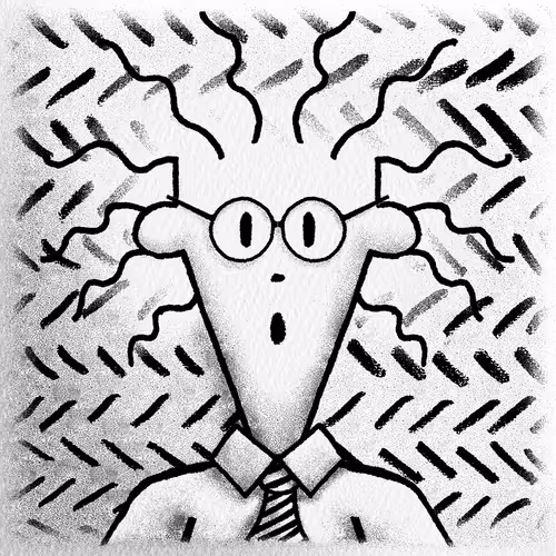 Fidodido 1