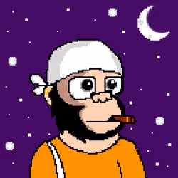 529