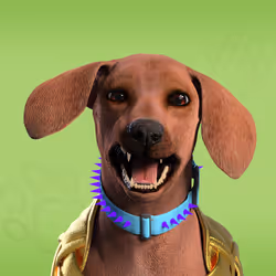 NFPet #5877