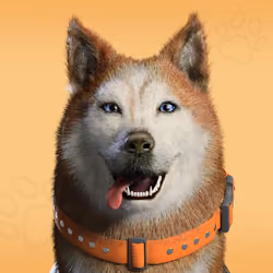 NFPet #2567