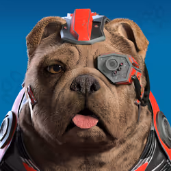 NFPet #376