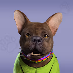 NFPet #8011