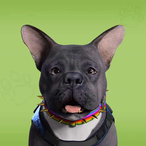 Nfpets Daz3d