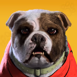 NFPet #961
