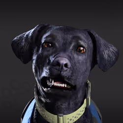 NFPet #3230