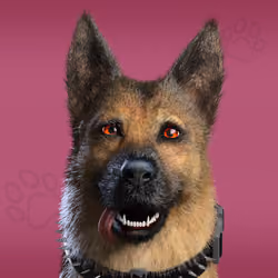 NFPet #9782