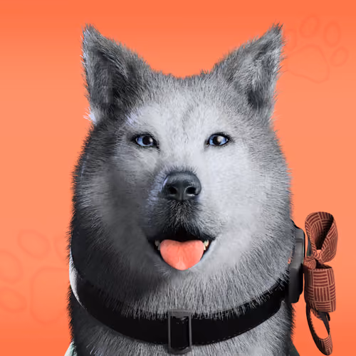 NFPet #5955
