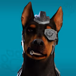 NFPet #242