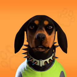 NFPet #7055