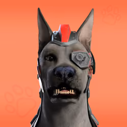 NFPet #7673
