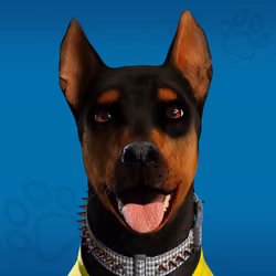 NFPet #164