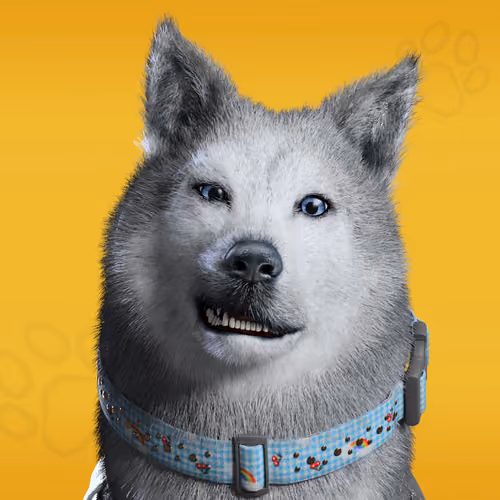 NFPet #5460