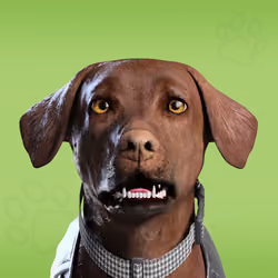 NFPet #9340