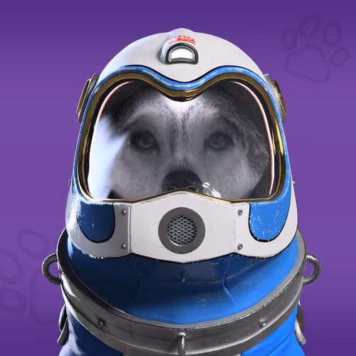 NFPet #1162
