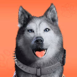 NFPet #8564
