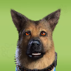 NFPet #9631