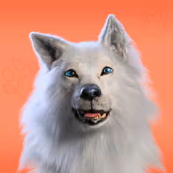NFPet #9727