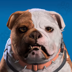 NFPet #500