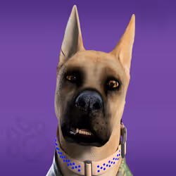NFPet #4811