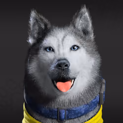 NFPet #17