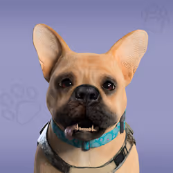 NFPet #4784