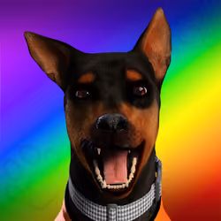 NFPet #1010