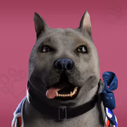NFPet #6560